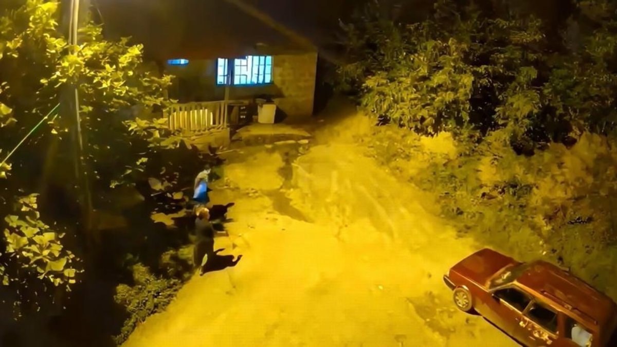 Artvin'de ayının sesini duyan anne ve oğlu, soluğu evde aldı