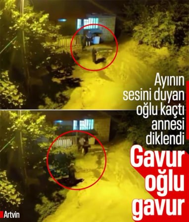 Artvin'de ayının sesini duyan anne ve oğlu, soluğu evde aldı