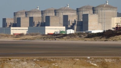 Fransa'da denizanaları nükleer santralin borularını tıkadı: Elektrik üretimi tamamen durdu