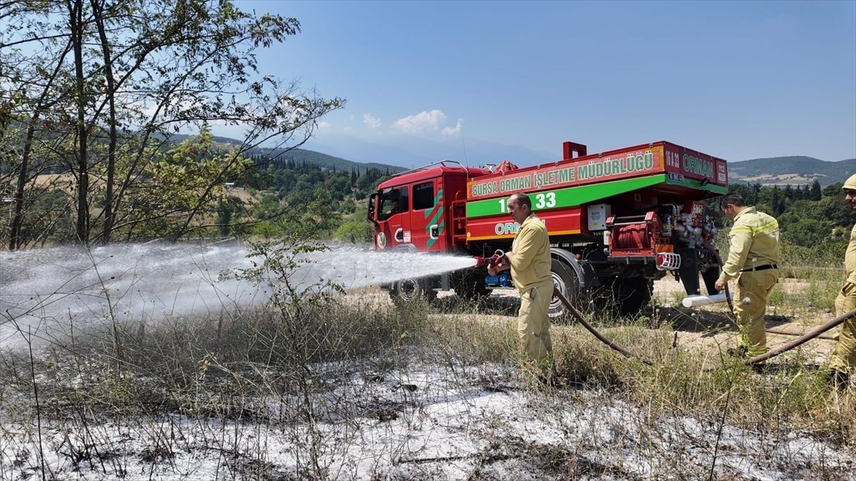 Bursa'da orman yangını