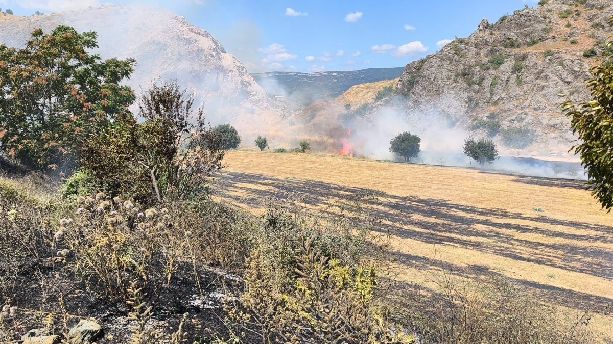 Tokat'ta ot yangınına hızlı müdahale