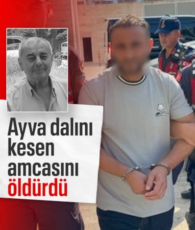 Samsun'da ayva dalını kesen amcasını öldüren şüpheli yakalandı
