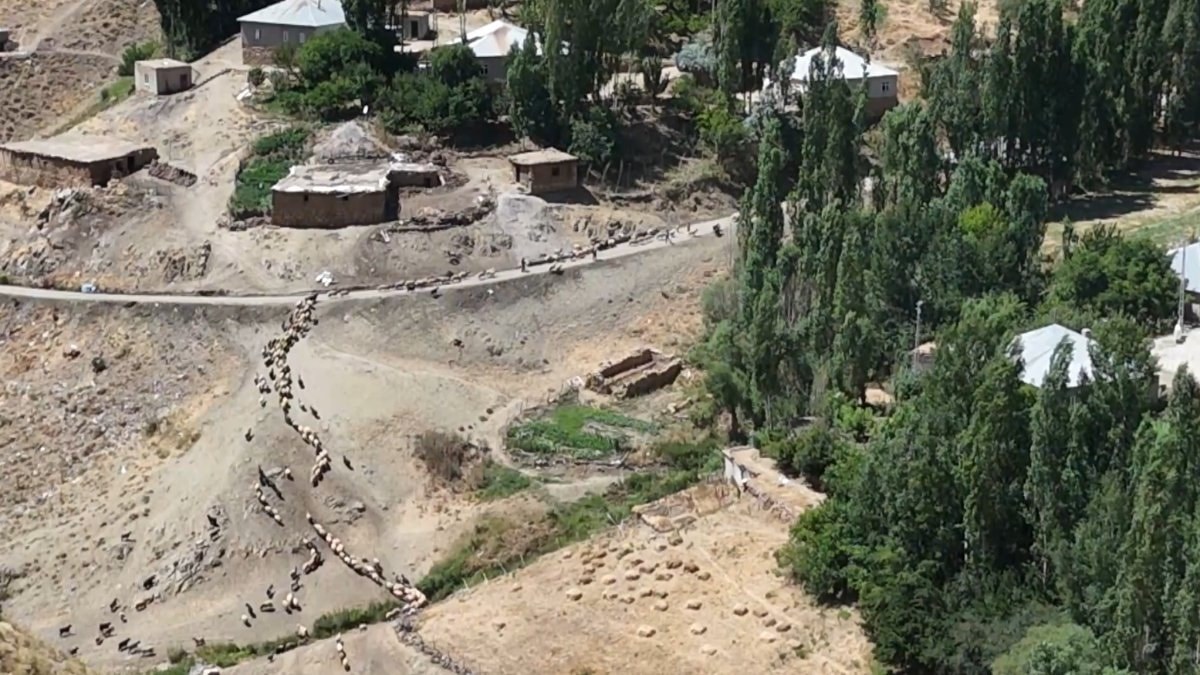 Hakkari'de besicilerin 3 kilometrelik su yolu