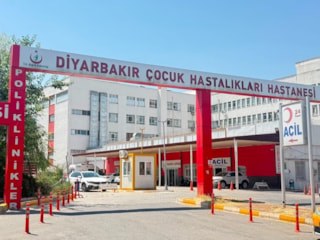 Diyarbakır'da kedinin ısırdığı çocuk entübe edildi, testlerde kuduz çıktı