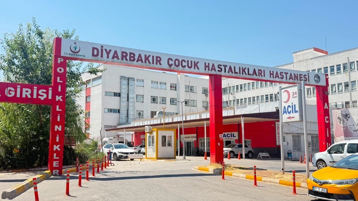 Diyarbakır'da kedinin ısırdığı çocuk entübe edildi, testlerde kuduz çıktı