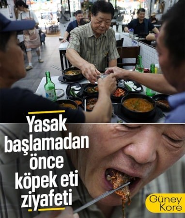 Güney Kore'de köpek eti yasağı öncesi vatandaşlar restoranlara akın etti