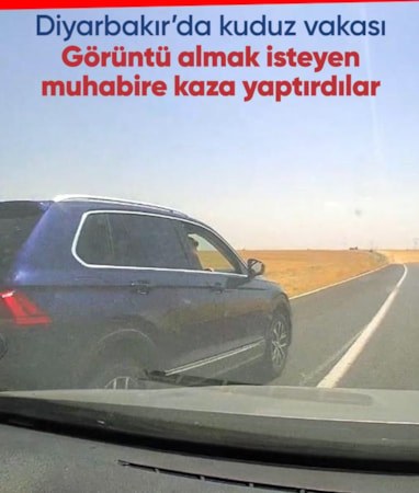 Diyarbakır'da kuduz görülen mahallede gazetecileri taciz edip kazaya neden oldular