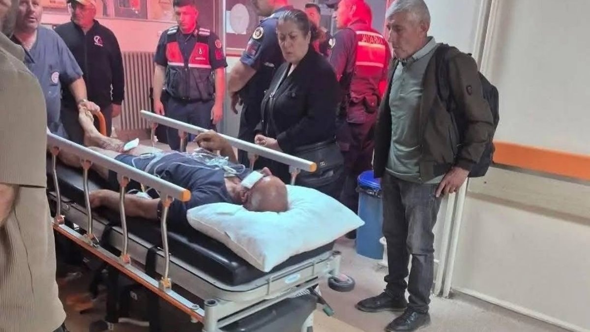 Sivas'ta ayı saldırısına uğrayan adam, köpekleri sayesinde kurtuldu