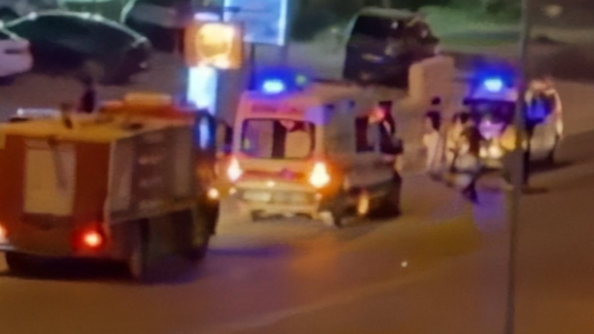 Mardin'de minibüsün çarptığı eşek öldü