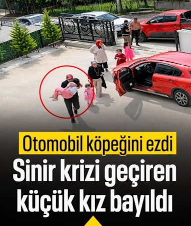 Ordu'da köpeği ezip kaçtı: 10 yaşındaki kız baygınlık geçirdi
