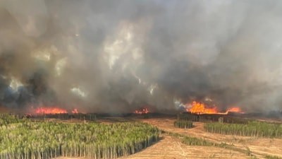 Belçika'da kayıtlara geçen en büyük orman yangını devam ediyor