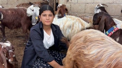 Hatay'da 5 keçiyle başladı, 30 hayvanlık sürüyle babasının yükünü hafifletti
