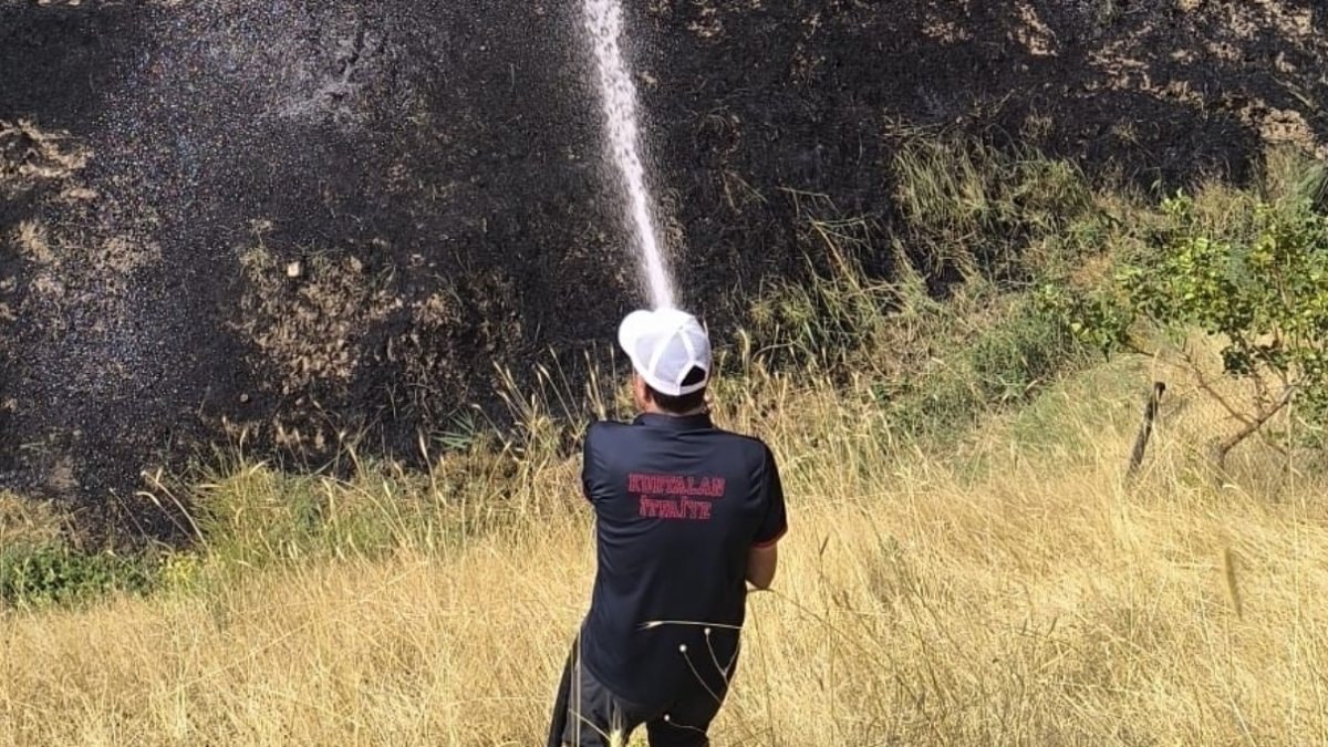 Siirt'te anız yangını: 100 meyve ağacı zarar gördü