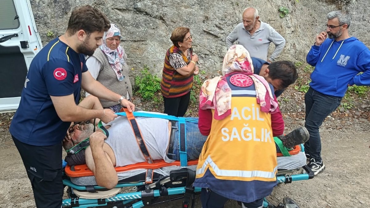 Artvin'de zorlu arazide peş peşe kurtarma operasyonu