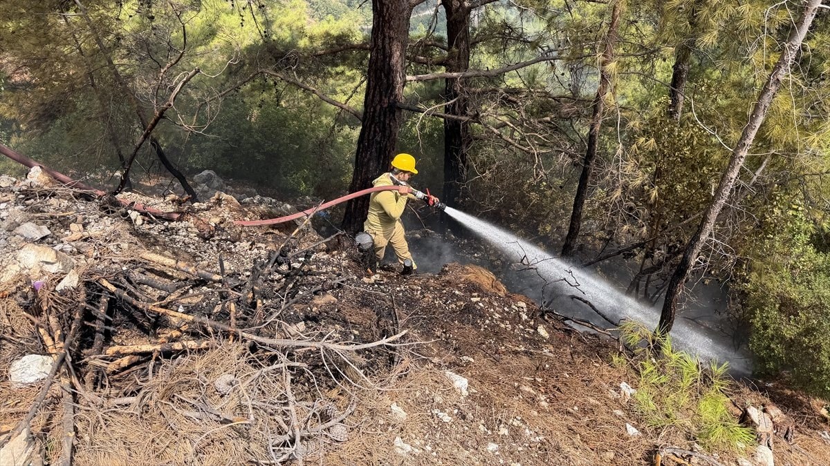 Antalya'da ormanlık alanda yangın