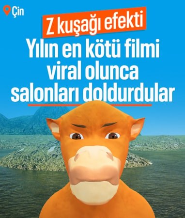 Çin'de yılın en kötü filmi seçildi: İnsanlar izlemek için sıraya giriyor