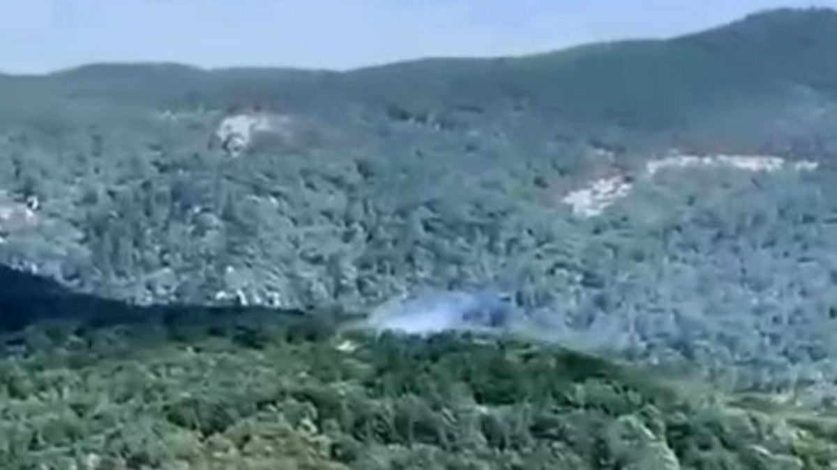 Kazdağları'nda yıldırım düştü: Orman yangını çıktı