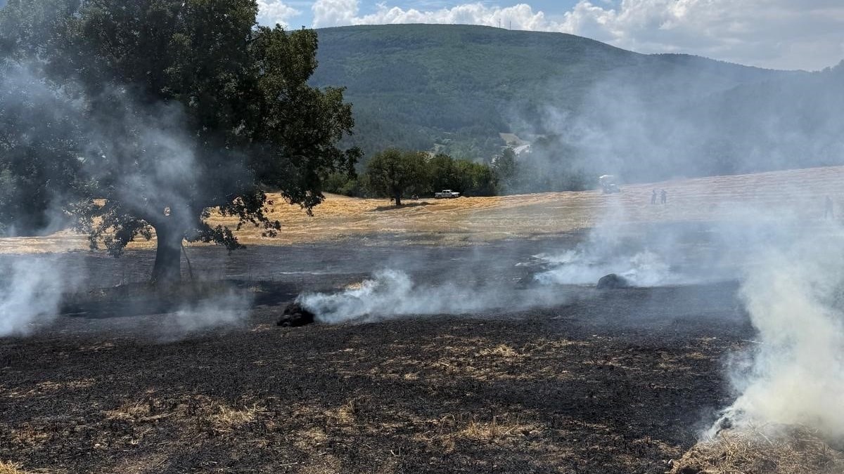 Bolu'da balya makinesinden çıkan kıvılcımlar yangına neden oldu
