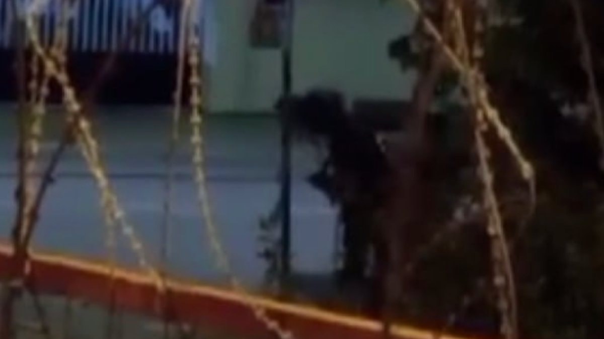 İstanbul'da ata şiddet uygulayan şahıs tepki çekti