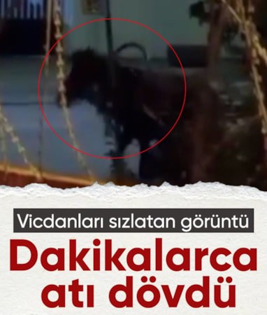 İstanbul'da ata şiddet uygulayan şahıs tepki çekti