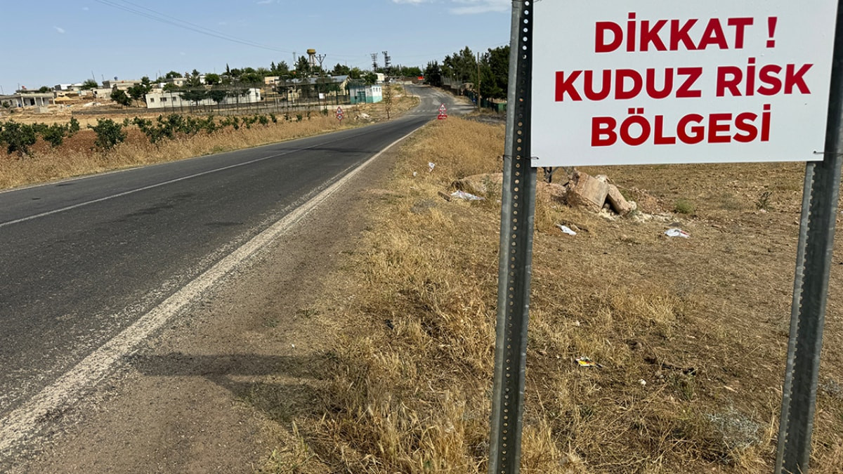 Ardahan’da büyükbaş hayvanda kuduz alarmı: Bir bölge karantinaya alındı