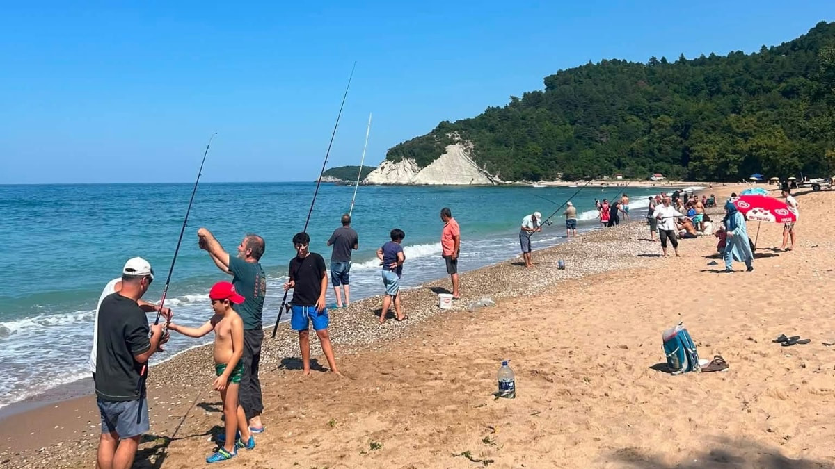 Bartın'da istavrit kıyıya yaklaştı, plaj doldu