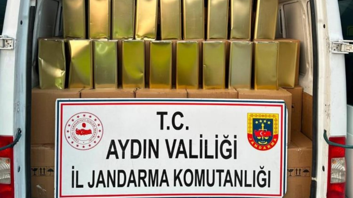 Aydın'da 780 bin liralık taklit zeytinyağı operasyonu