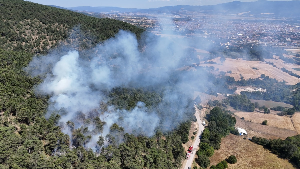 Bolu'da orman yangını çıktı