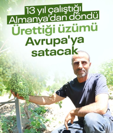 13 yıllık gurbetin ardından Elazığ'a döndü, 300 dönümde üzüm yetiştiriyor