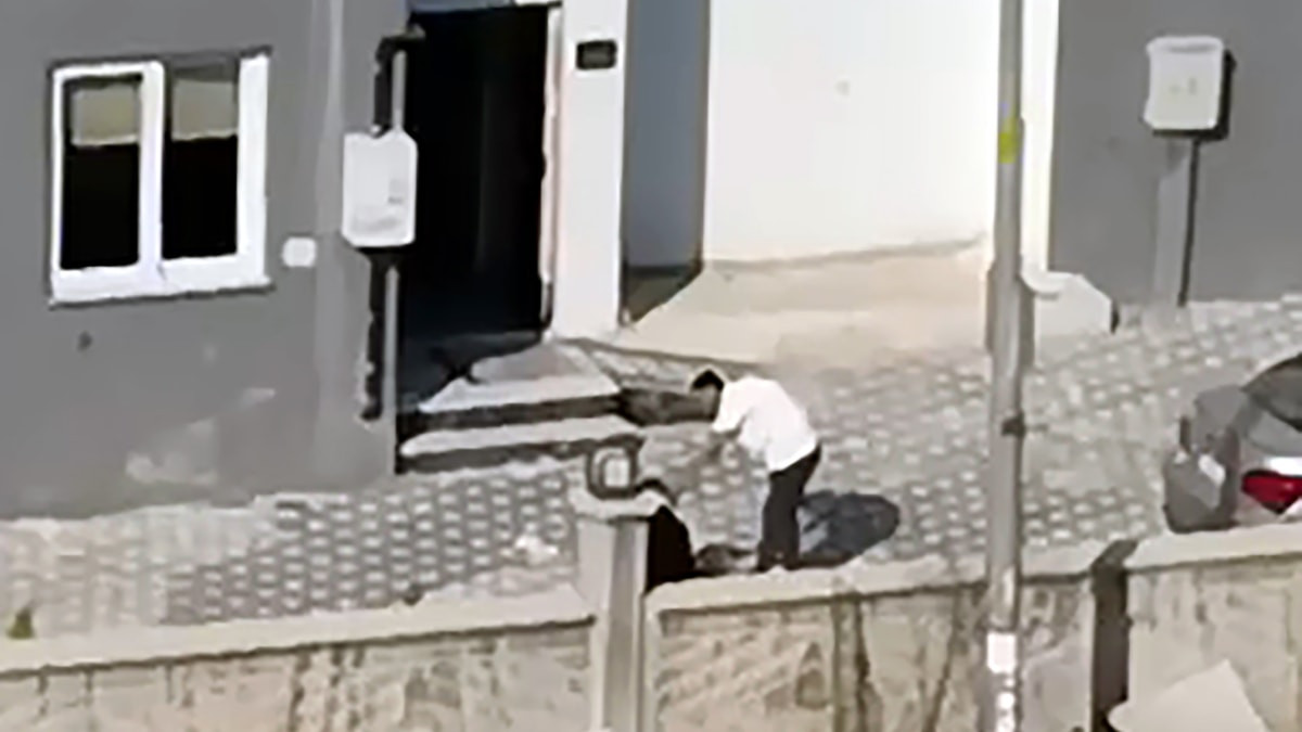 Adana'da tartıştığı kadını tekme ve yumruklarla dövdü
