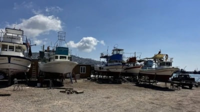 Sinop balıkçıları yeni sezona hazır: Palamut beklentisi büyük