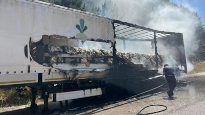 Bolu'da seyir halindeki tırda yangın, ormana sıçradı