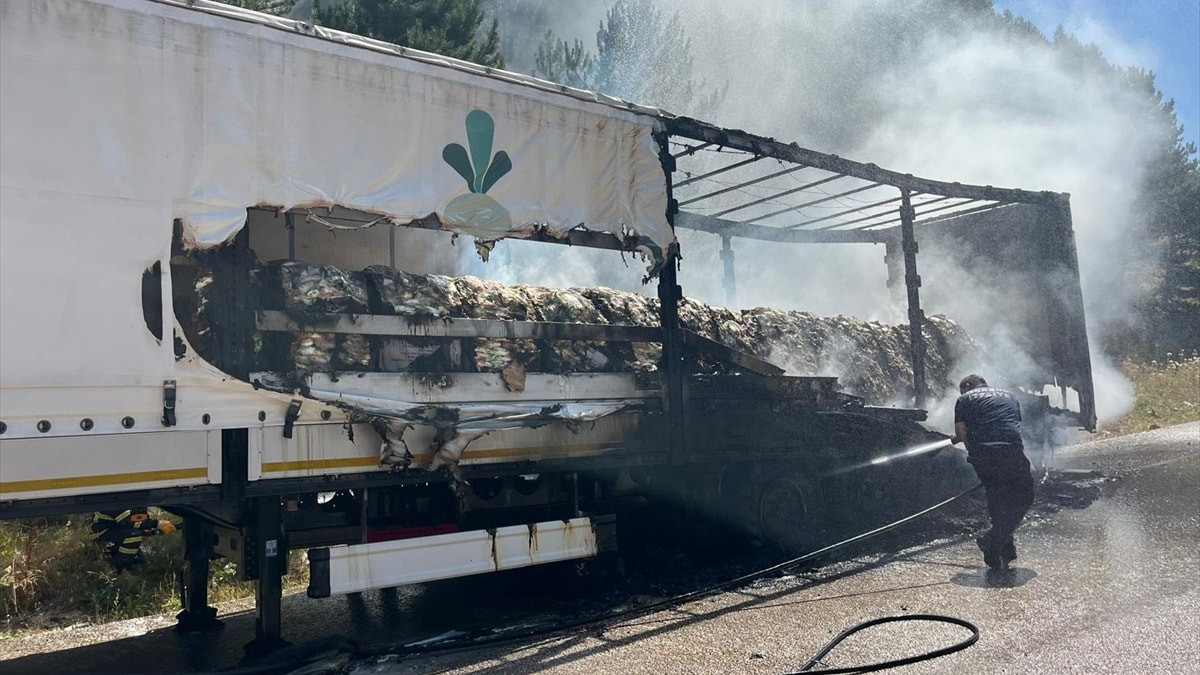 Bolu'da seyir halindeki tırda yangın, ormana sıçradı