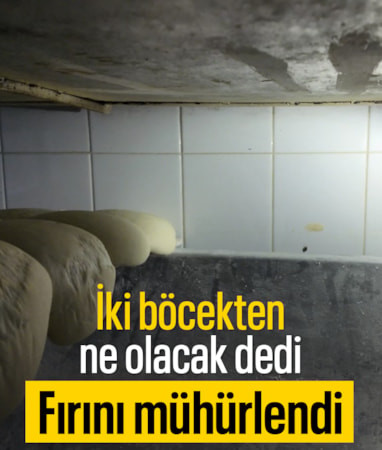 Gaziantep'te hijyen skandalı: Fırın 7 gün süreyle kapatıldı