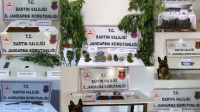Bartın'da uyuşturucu operasyonu düzenlendi