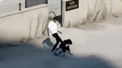 Adana'da sokak ortasında darbedildi, şikayetçi olmadı: Şüpheli serbest bırakıldı