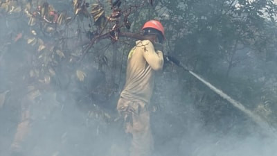 Antalya'da orman yangını
