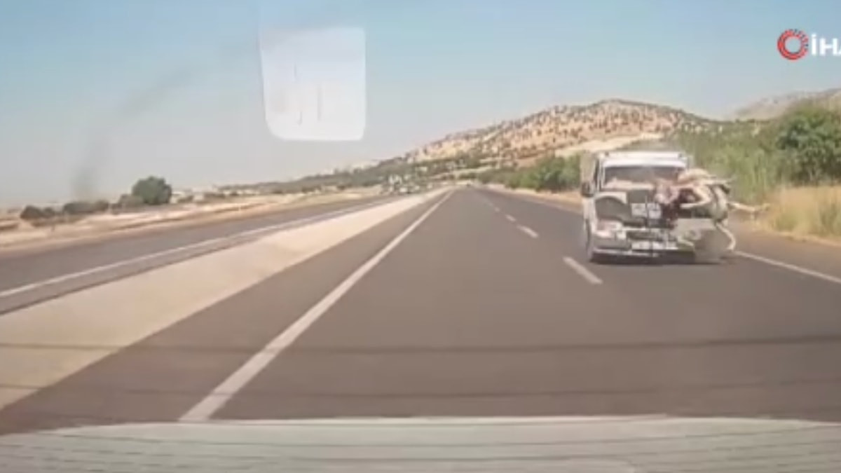 Adıyaman'da kamyonetin eşeğe çarpma anı kamerada