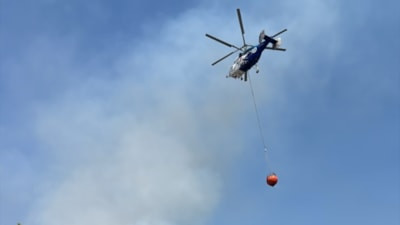 Bilecik'te ormanlık alanda yangın çıktı
