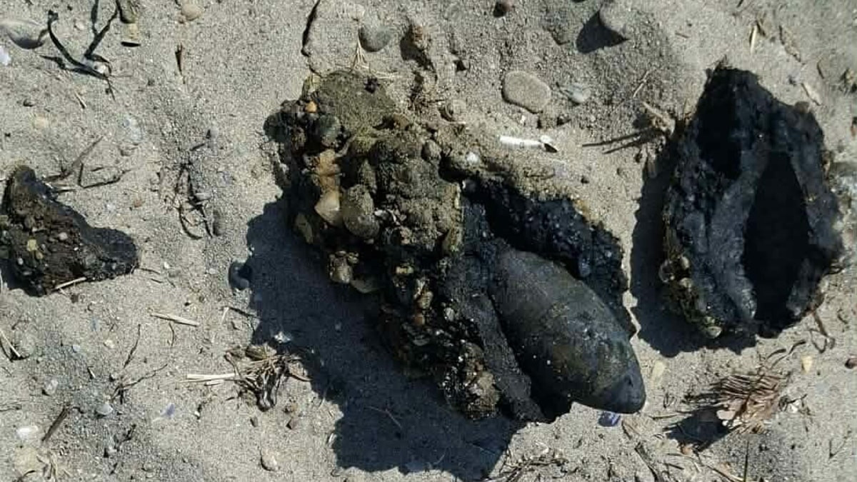 Çanakkale'de halk plajında patlamamış top mermisi paniği