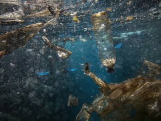 Akdeniz’deki plastik sorunu için yeni yol haritası çizildi