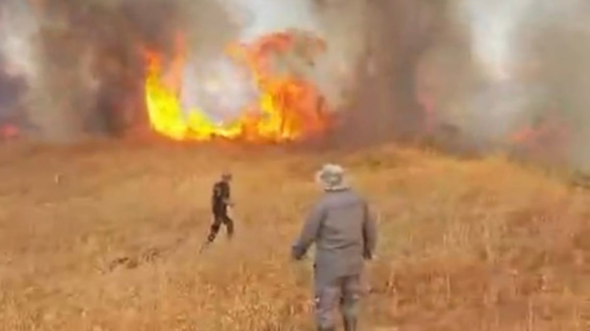 Malatya'da korkutan anız yangını