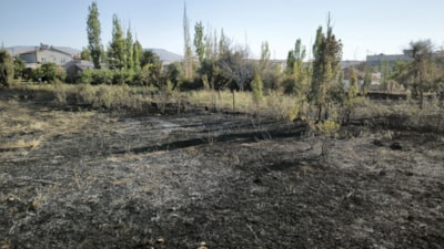 Sivas'ta alevler evlere sıçramadan söndürüldü