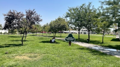 Şanlıurfa'da termometreler 46 dereceyi gösterdi