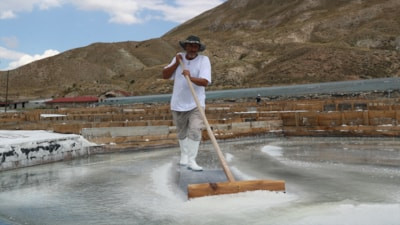 Erzincan'ın Kemah ilçesindeki asırlık tuz geleneksel yöntemlerle sofralara ulaşıyor
