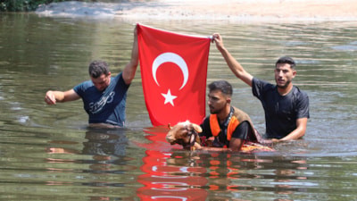 Denizli’de 8 asırlık gelenek: Koyunlar Menderes’i geçmek için yarıştı