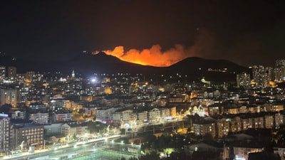 Ankara, Mamak'ta ormanlık alanda yangın çıktı