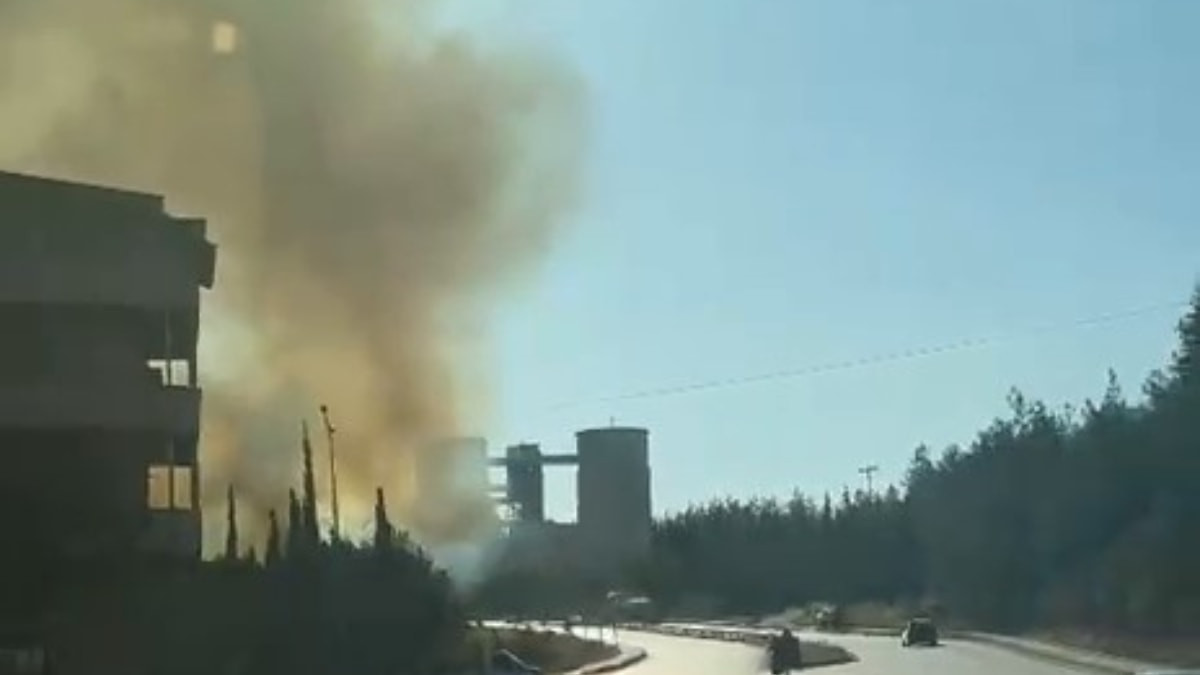Bursa'da orman yangını çıktı