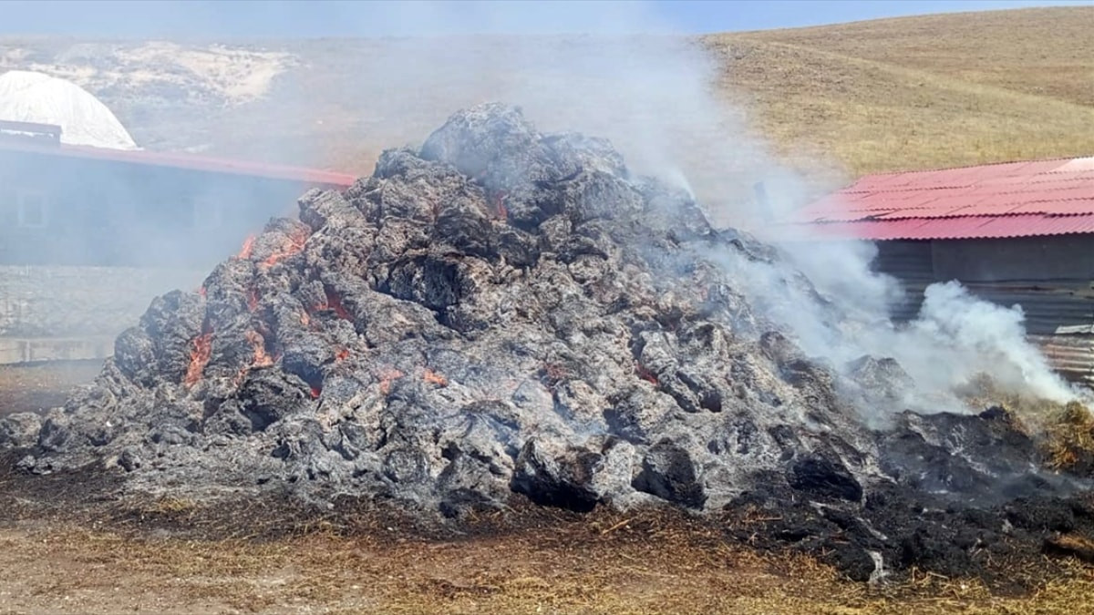 Kars’ta bir yıllık emek dakikalar içinde kül oldu: Bin balya ot yandı