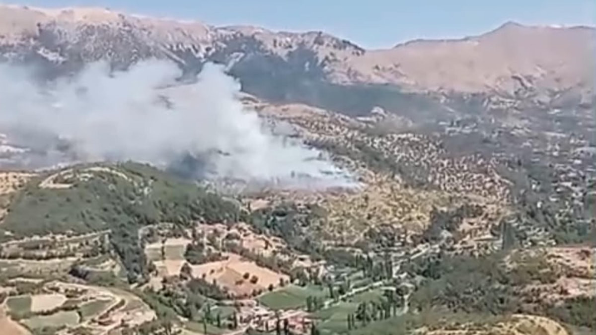 İzmir'de orman yangını